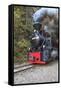 Romania, Viseu de Sus, Wood-burning steam locomotive.-Emily Wilson-Framed Stretched Canvas