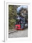 Romania, Viseu de Sus, Wood-burning steam locomotive.-Emily Wilson-Framed Photographic Print