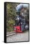 Romania, Viseu de Sus, Wood-burning steam locomotive.-Emily Wilson-Framed Stretched Canvas