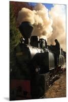 Romania, Viseu de Sus, Wood-burning steam locomotive.-Emily Wilson-Mounted Premium Photographic Print