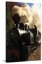 Romania, Viseu de Sus, Wood-burning steam locomotive.-Emily Wilson-Stretched Canvas