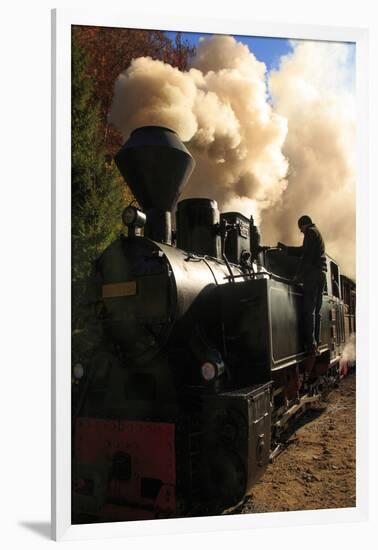 Romania, Viseu de Sus, Wood-burning steam locomotive.-Emily Wilson-Framed Photographic Print