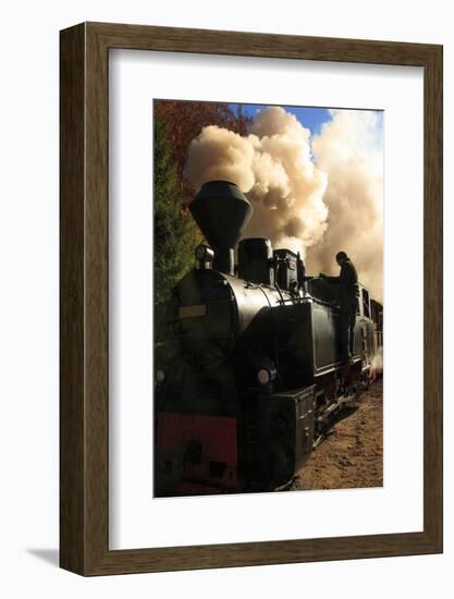 Romania, Viseu de Sus, Wood-burning steam locomotive.-Emily Wilson-Framed Photographic Print