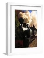 Romania, Viseu de Sus, Wood-burning steam locomotive.-Emily Wilson-Framed Photographic Print