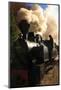 Romania, Viseu de Sus, Wood-burning steam locomotive.-Emily Wilson-Mounted Photographic Print