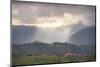 Romanian Landscape in the Carpathian Mountains Near Bran Castle at Pestera, Transylvania, Romania-Matthew Williams-Ellis-Mounted Photographic Print