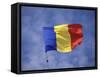 Romanian National Flag, Romania-Dave Bartruff-Framed Stretched Canvas