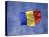 Romanian National Flag, Romania-Dave Bartruff-Stretched Canvas