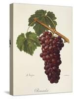 Romanka Grape-A. Kreyder-Stretched Canvas