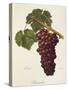 Romanka Grape-A. Kreyder-Stretched Canvas