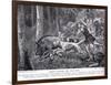 Romans Hunting Wild Boar-George Derville Rowlandson-Framed Giclee Print