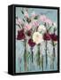 Romantic Blossoms-Jane Slivka-Framed Stretched Canvas