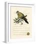 Romantic Dove I-Vision Studio-Framed Art Print