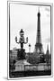 Romantic Eiffel Tower - Paris-Philippe Hugonnard-Mounted Premium Photographic Print