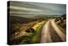 Romantic English Landscape-Mark Gemmell-Stretched Canvas