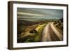 Romantic English Landscape-Mark Gemmell-Framed Photographic Print