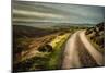 Romantic English Landscape-Mark Gemmell-Mounted Photographic Print