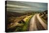 Romantic English Landscape-Mark Gemmell-Stretched Canvas