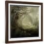 Romantic English Landscape-Mark Gemmell-Framed Photographic Print