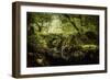 Romantic English Landscape-Mark Gemmell-Framed Photographic Print