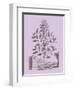 Romantic Jasmine-Vision Studio-Framed Art Print