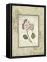 Romantic Letters I-Lisa Audit-Framed Stretched Canvas