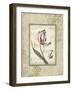 Romantic Letters II-Lisa Audit-Framed Giclee Print