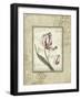 Romantic Letters II-Lisa Audit-Framed Giclee Print