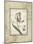 Romantic Letters II-Lisa Audit-Mounted Giclee Print