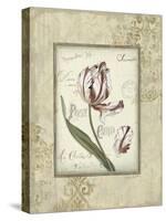 Romantic Letters II-Lisa Audit-Stretched Canvas
