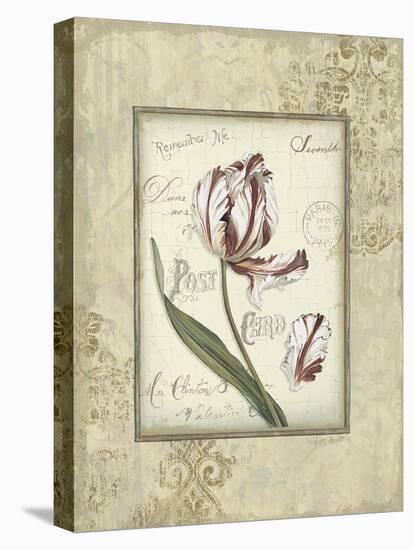 Romantic Letters II-Lisa Audit-Stretched Canvas