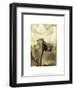 Romantic Rose-Thomas Horbett-Framed Art Print