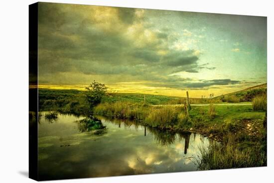 Romantic Rural Scene in England-Mark Gemmell-Stretched Canvas