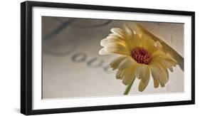 Romantic Still Life with Blossom-Uwe Merkel-Framed Photographic Print