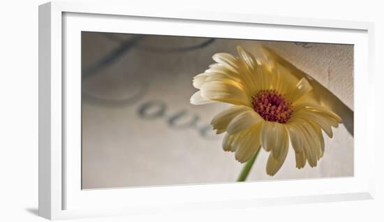 Romantic Still Life with Blossom-Uwe Merkel-Framed Photographic Print