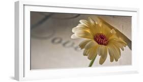 Romantic Still Life with Blossom-Uwe Merkel-Framed Photographic Print