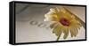 Romantic Still Life with Blossom-Uwe Merkel-Framed Stretched Canvas
