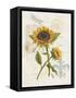 Romantic Sunflower II-Jade Reynolds-Framed Stretched Canvas