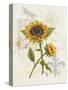 Romantic Sunflower II-Jade Reynolds-Stretched Canvas