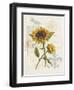 Romantic Sunflower II-Jade Reynolds-Framed Art Print