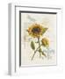 Romantic Sunflower II-Jade Reynolds-Framed Art Print