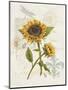 Romantic Sunflower II-Jade Reynolds-Mounted Art Print