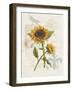 Romantic Sunflower II-Jade Reynolds-Framed Art Print