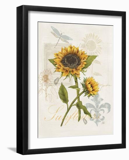 Romantic Sunflower II-Jade Reynolds-Framed Art Print