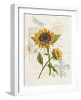 Romantic Sunflower II-Jade Reynolds-Framed Art Print