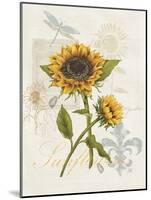 Romantic Sunflower II-Jade Reynolds-Mounted Art Print