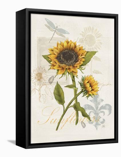 Romantic Sunflower II-Jade Reynolds-Framed Stretched Canvas