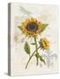 Romantic Sunflower II-Jade Reynolds-Stretched Canvas