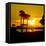 Romantic Walk along the Ocean at Sunset-Philippe Hugonnard-Framed Stretched Canvas