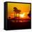 Romantic Walk along the Ocean at Sunset-Philippe Hugonnard-Framed Stretched Canvas